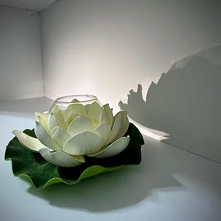 Br's New Bazaar וילה טיראנה