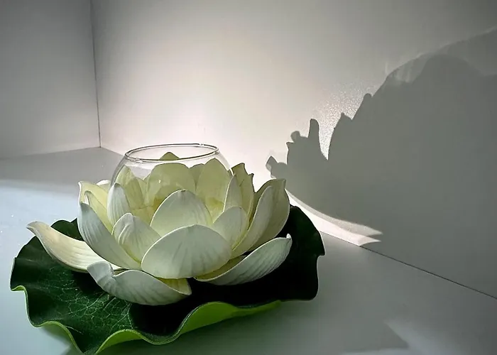 Br's New Bazaar וילה טיראנה